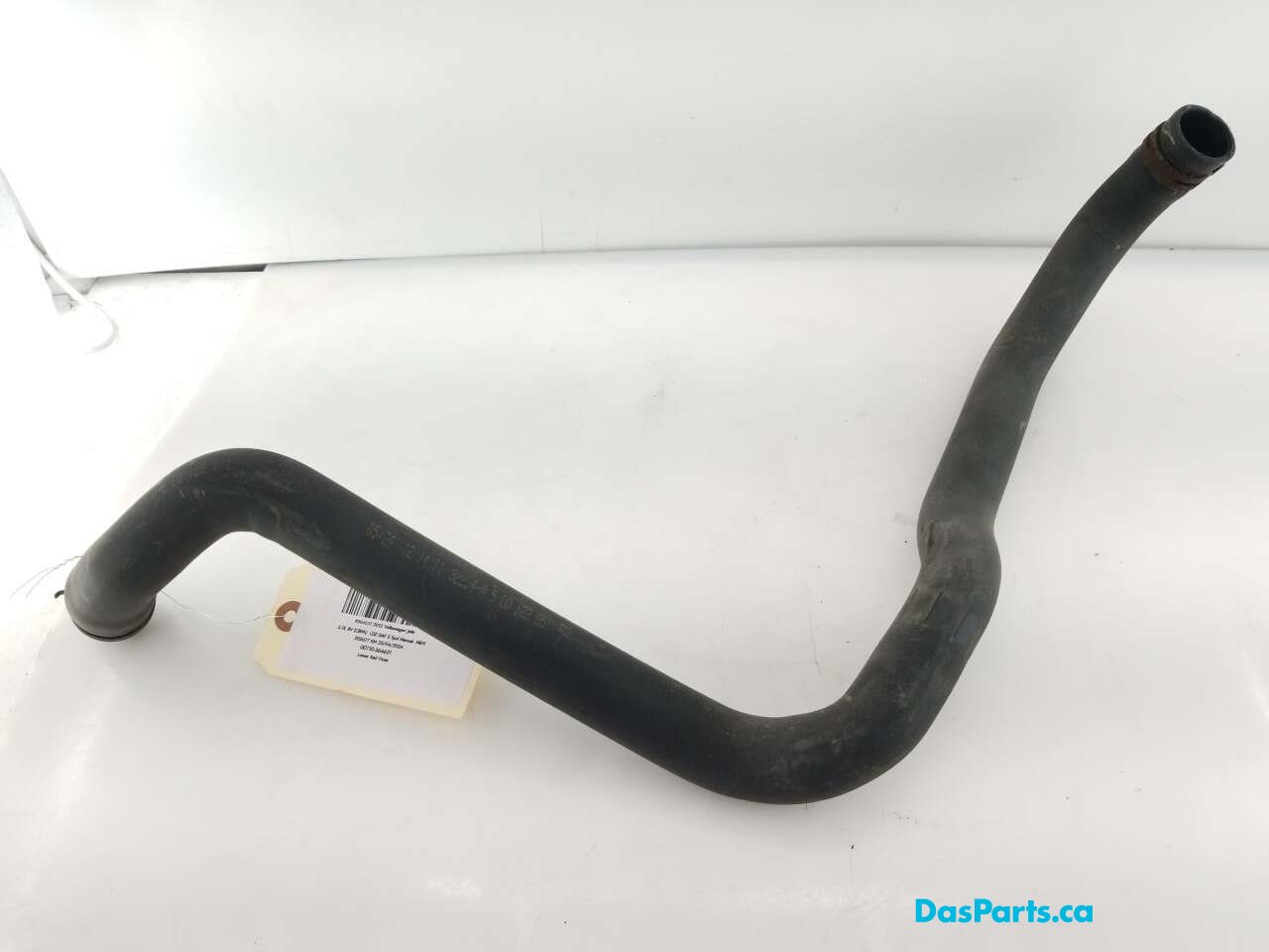 Lower Rad Hose