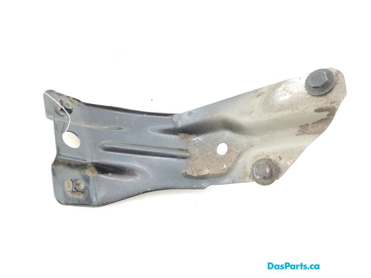 Fender Support RF