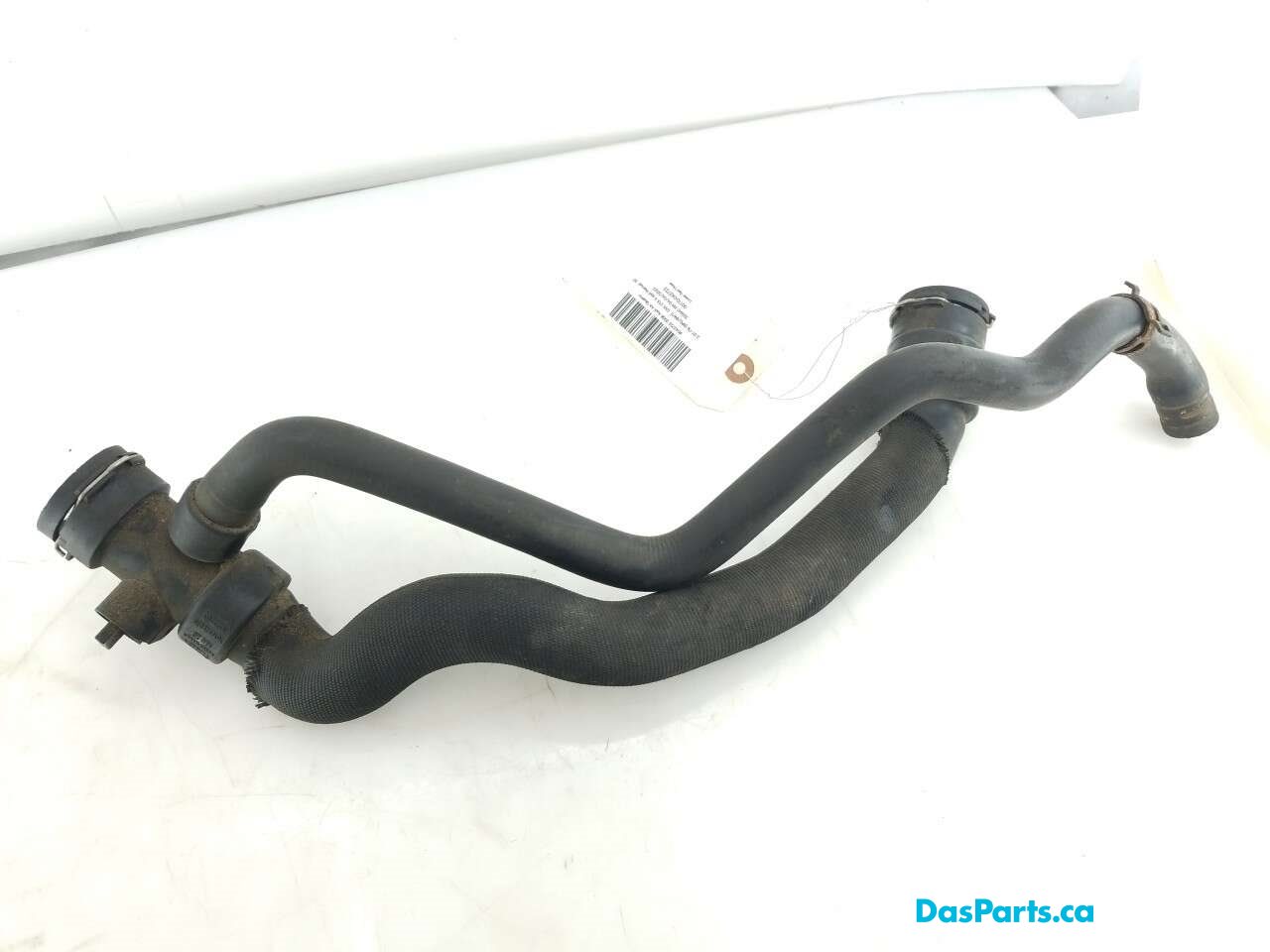 Lower Rad Hose