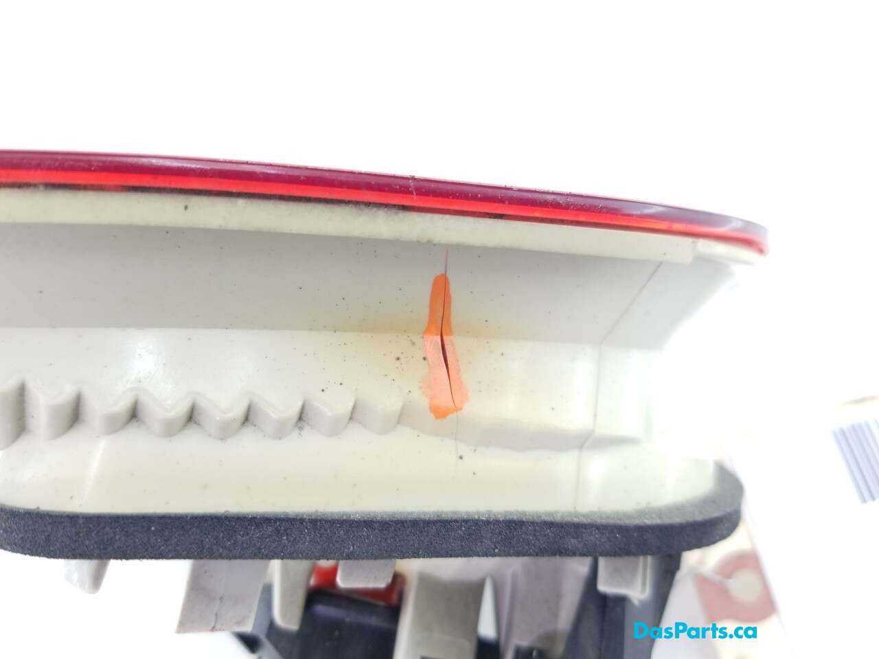Taillight Inner RR