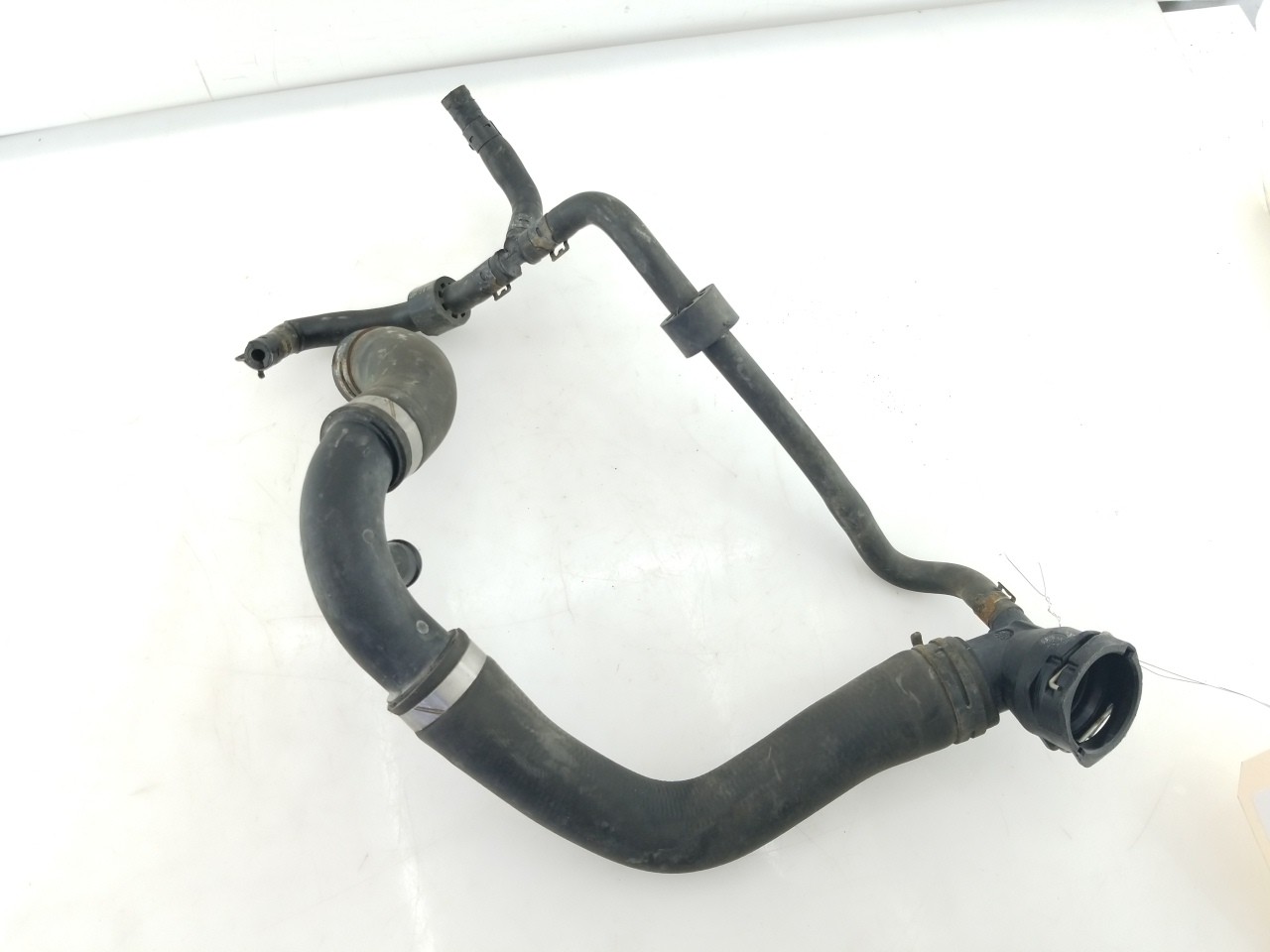 Upper Rad Hose