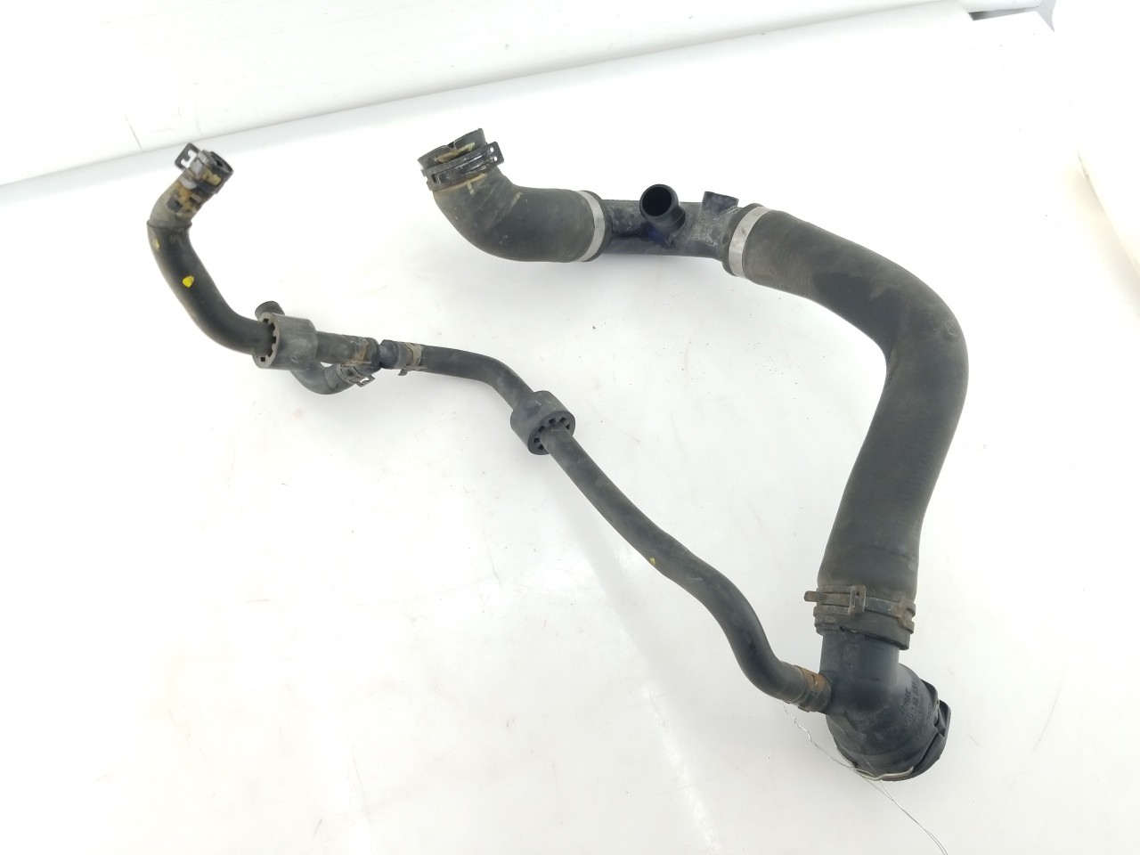 Upper Rad Hose