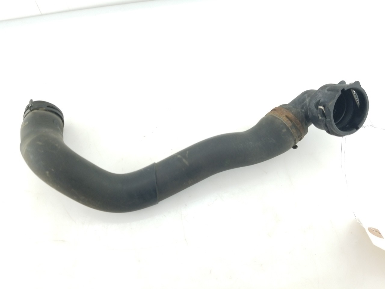 Lower Rad Hose