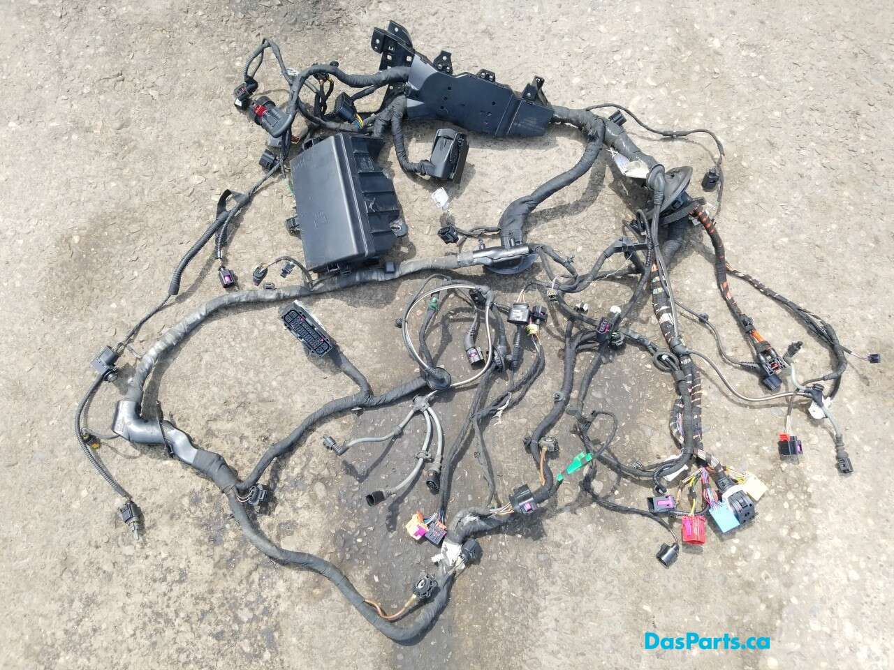 Engine Bay Harness