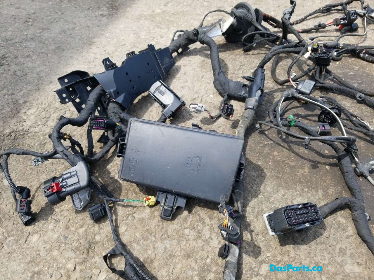 Engine Bay Harness