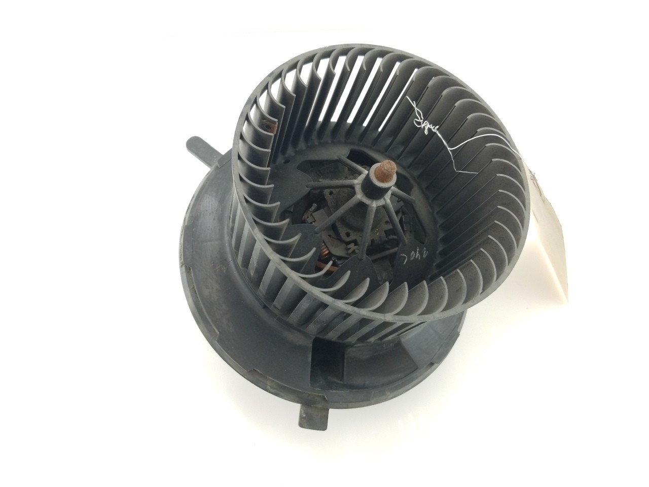 Blower Motor