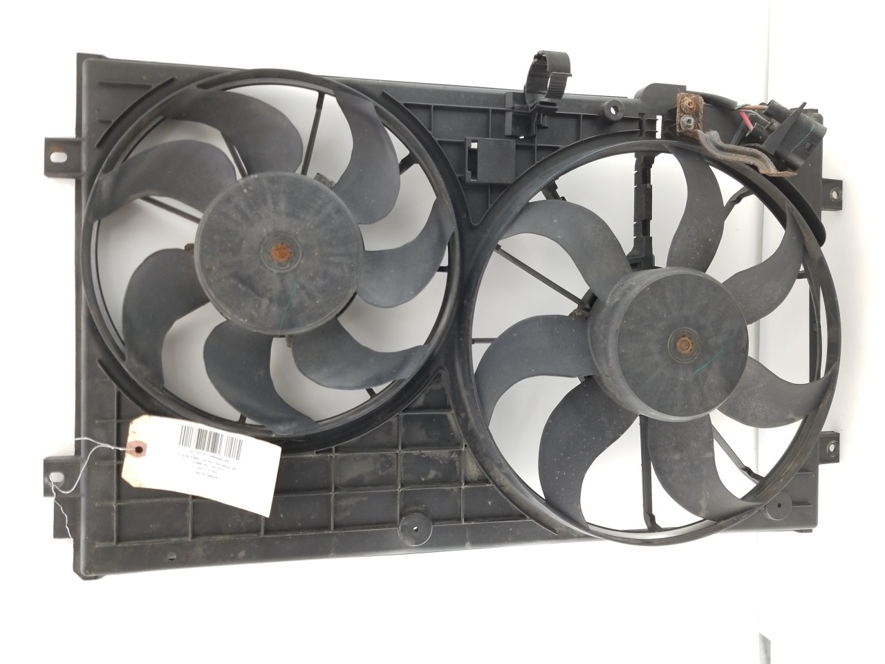 Rad Fan Assembly