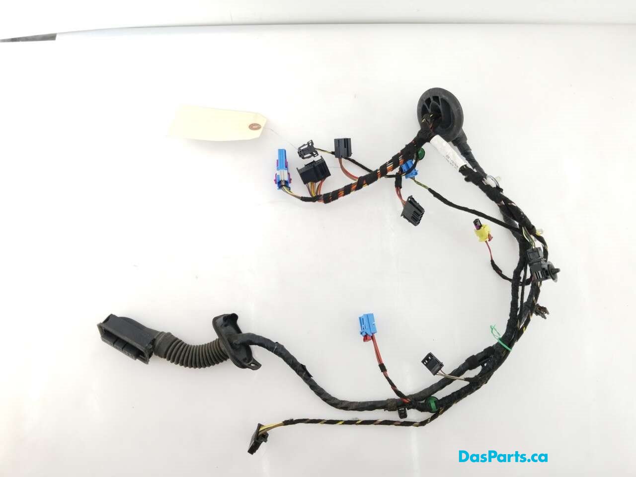 Door Harness RF 1