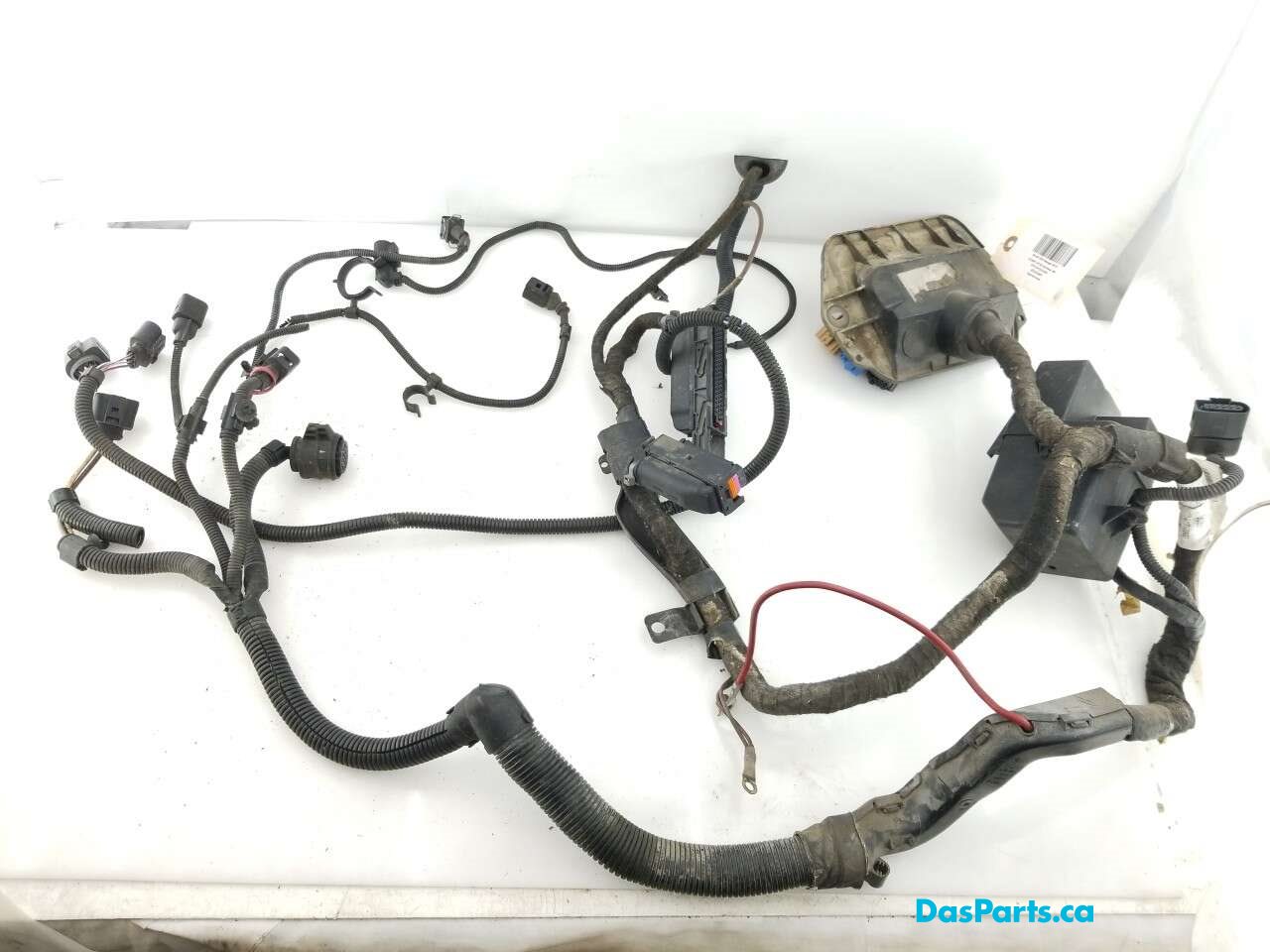 Engine Bay Harness