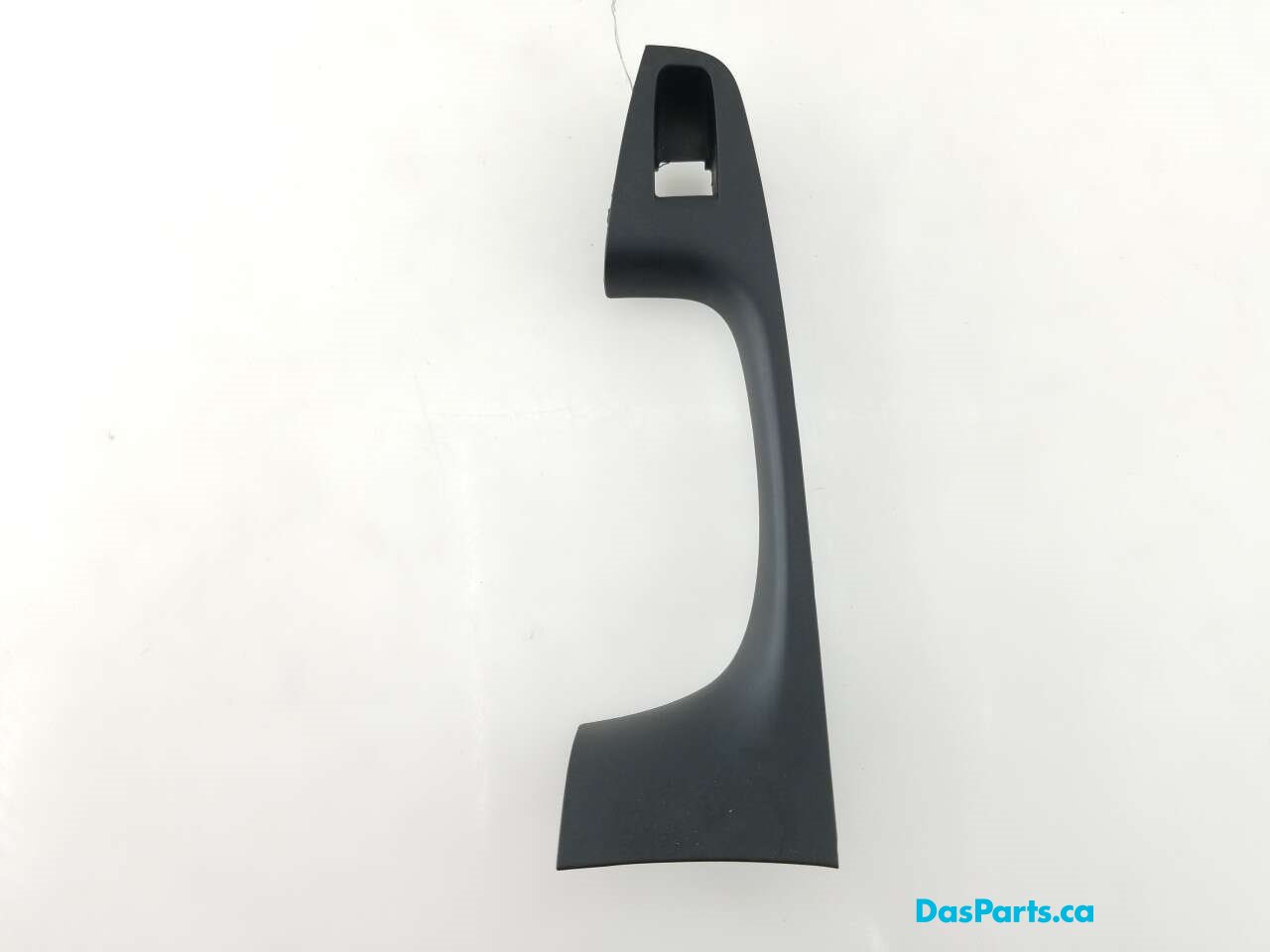 Door Trim LR