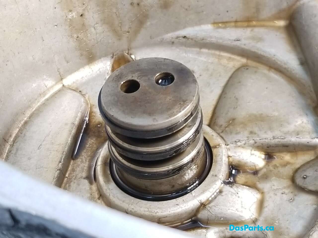 Cam Adjuster Housing