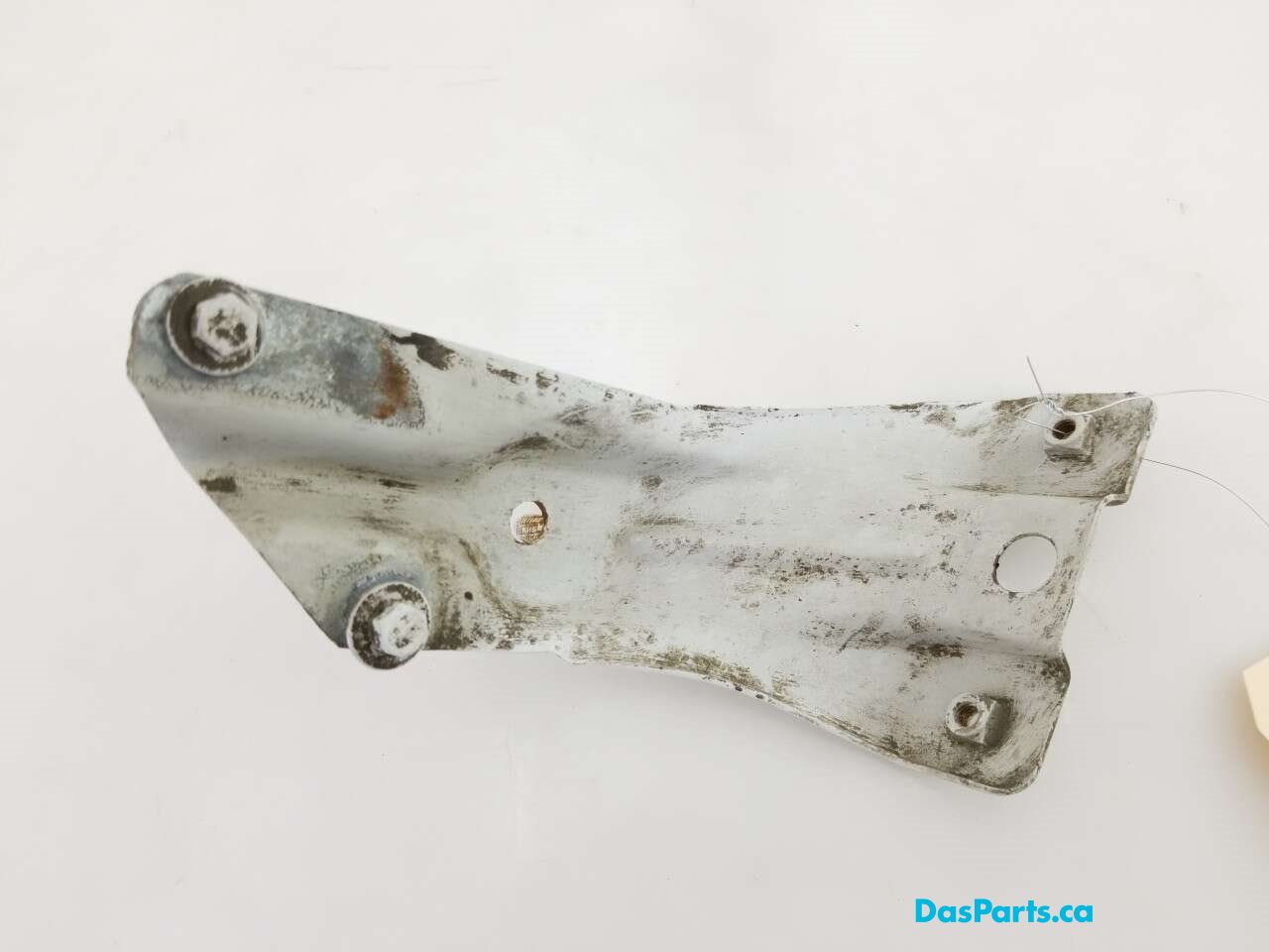 Fender Support LF