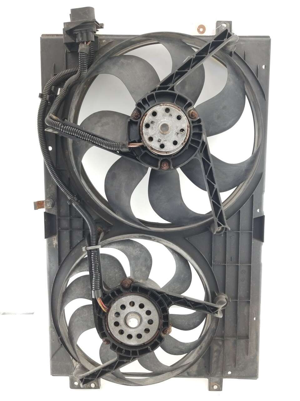 Rad Fan Assembly