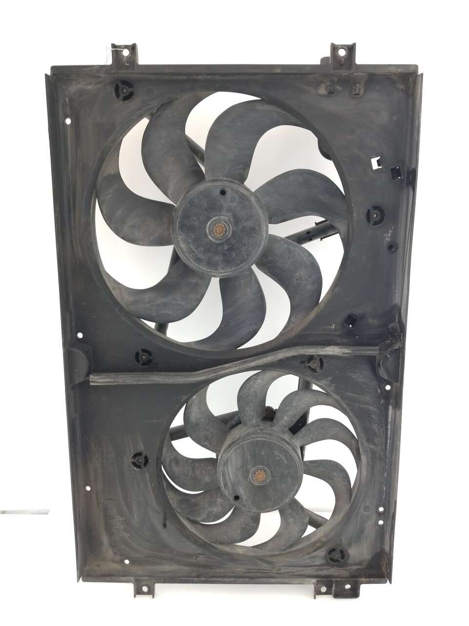 Rad Fan Assembly