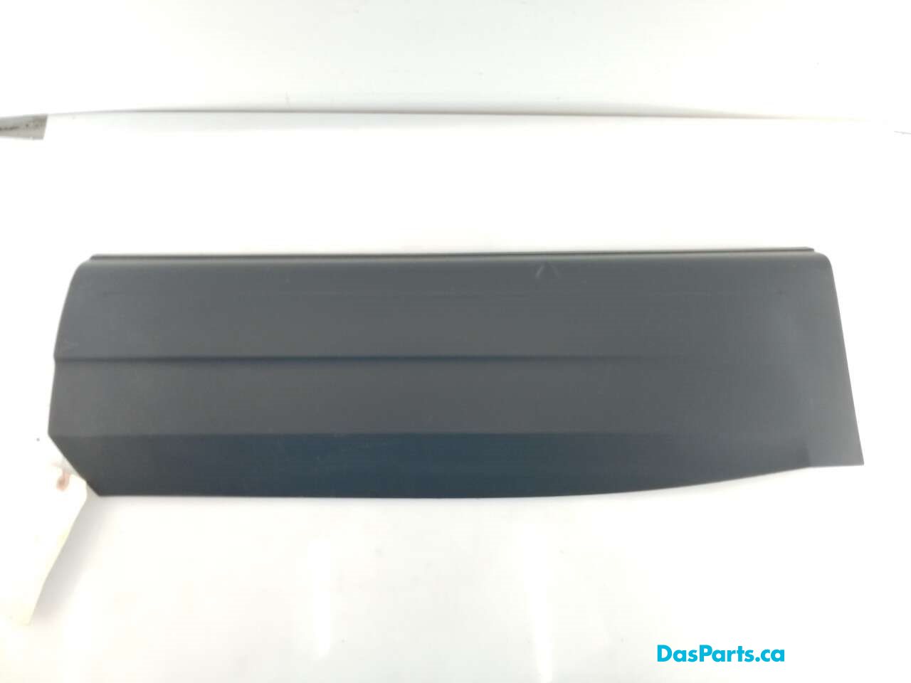 Lower Door Molding RR