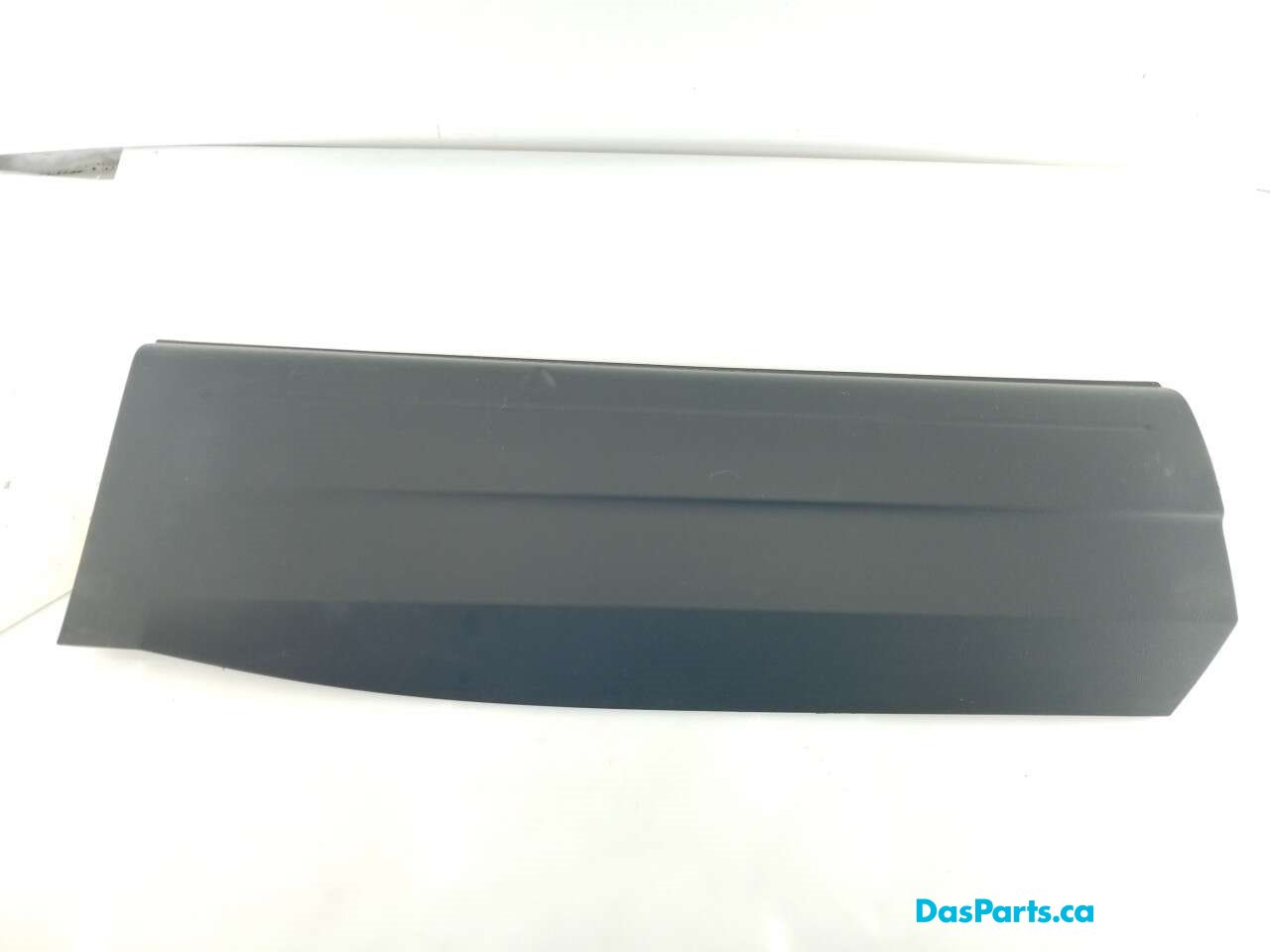 Lower Door Molding LR