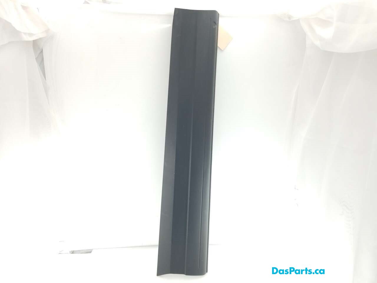 Lower Door Molding RF