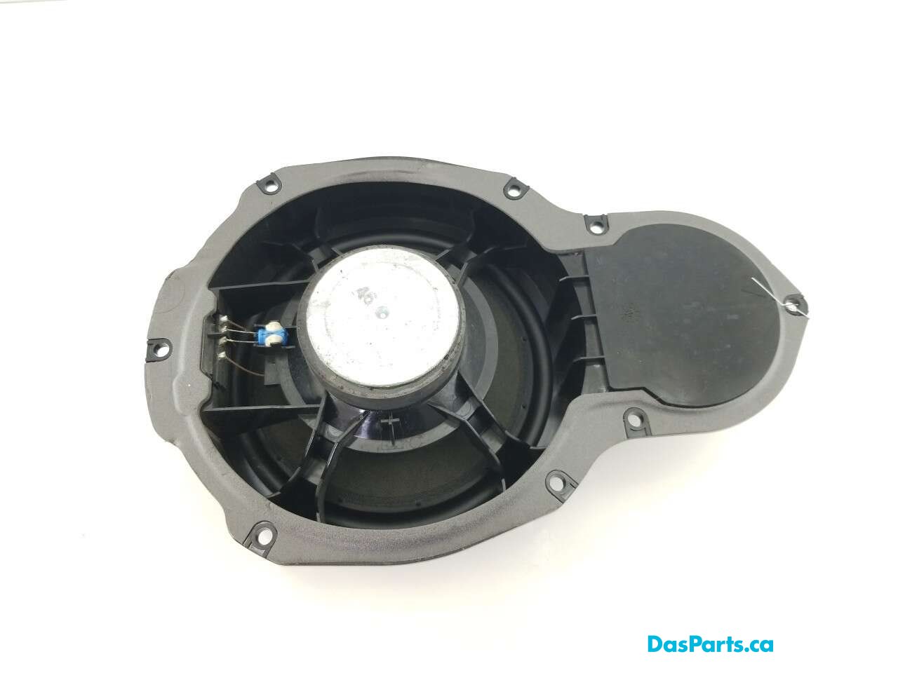 Speaker LF