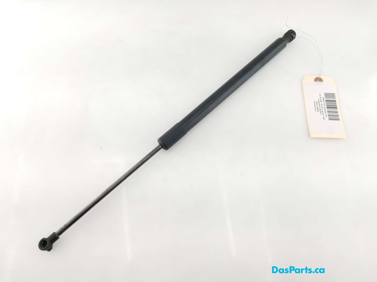 Trunk/Hatch Strut 1