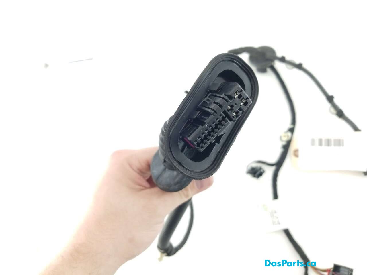 Door Harness RR 1