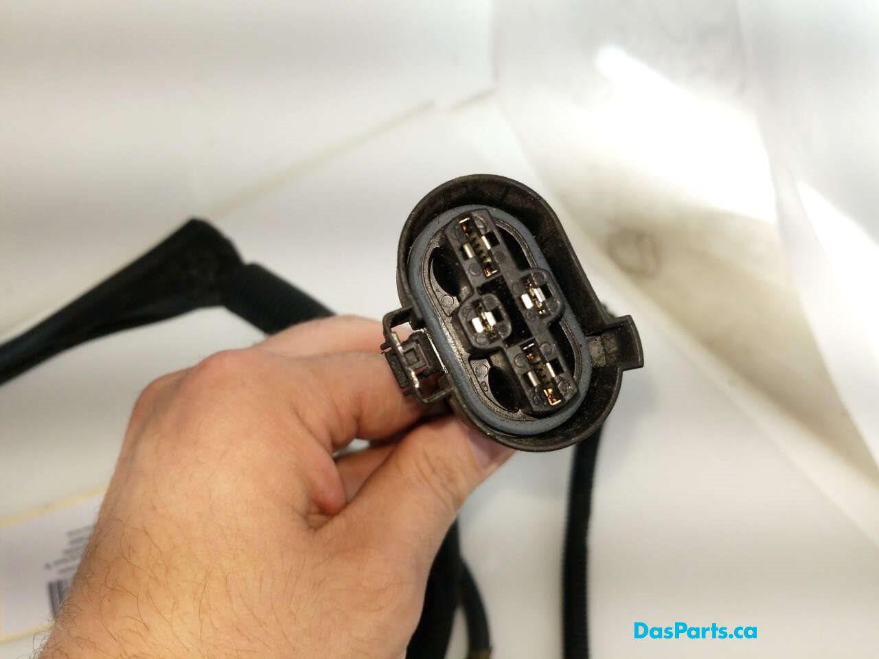 Alternator Harness