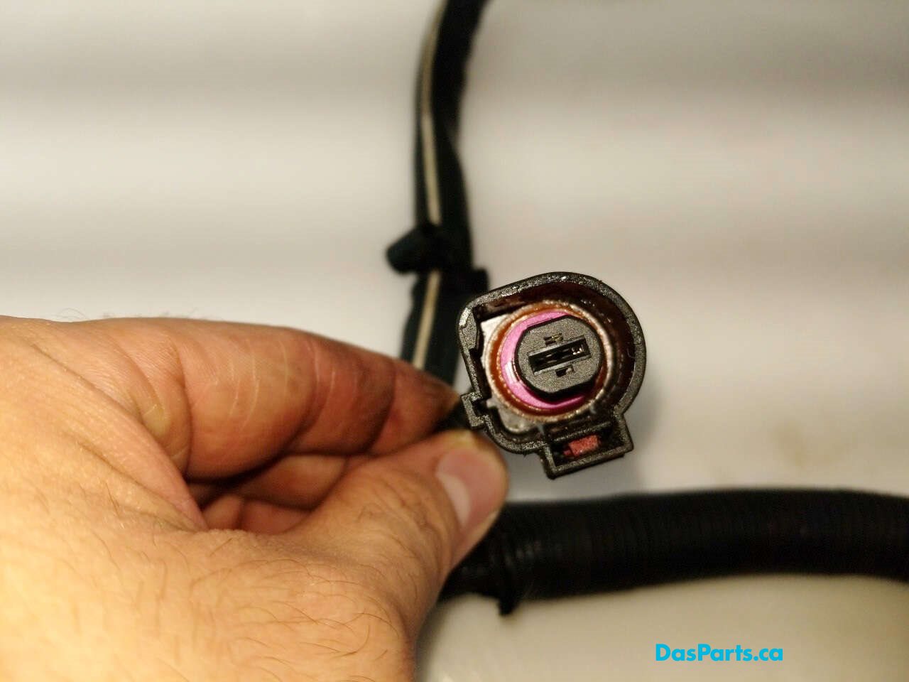 Alternator Harness