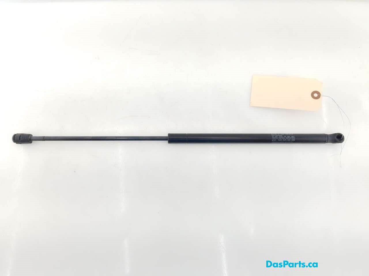 Trunk/Hatch Strut 1