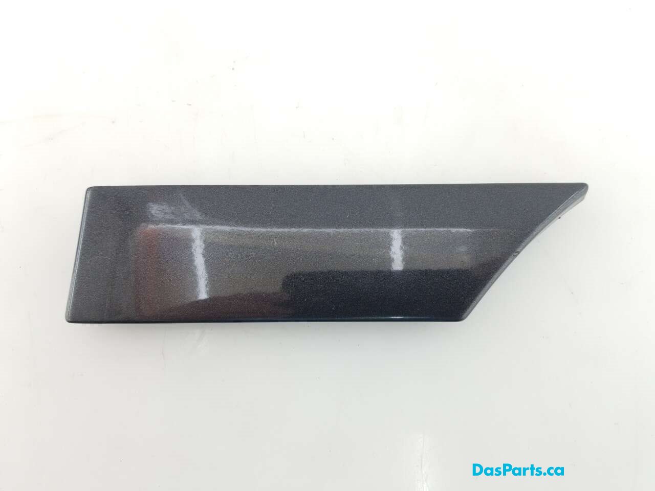 Lower Fender Molding LR