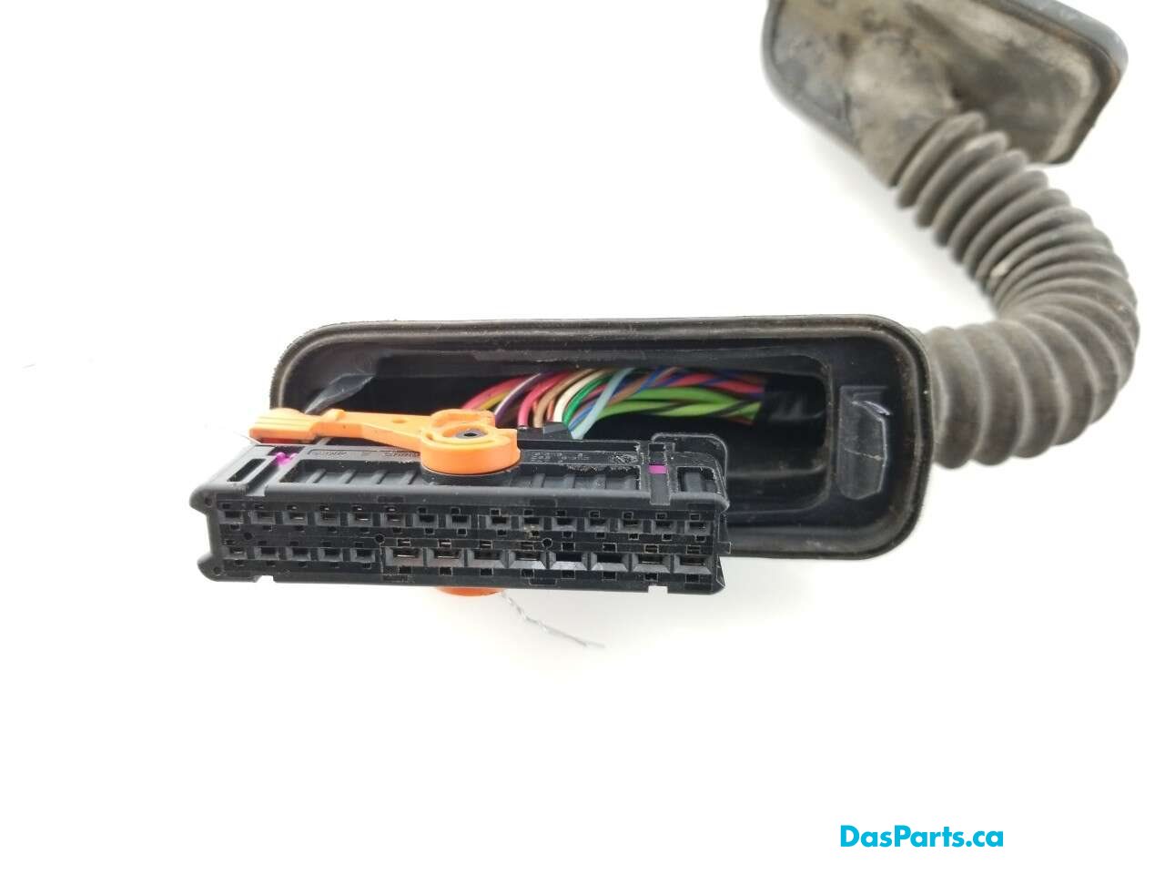 Door Harness LF 1