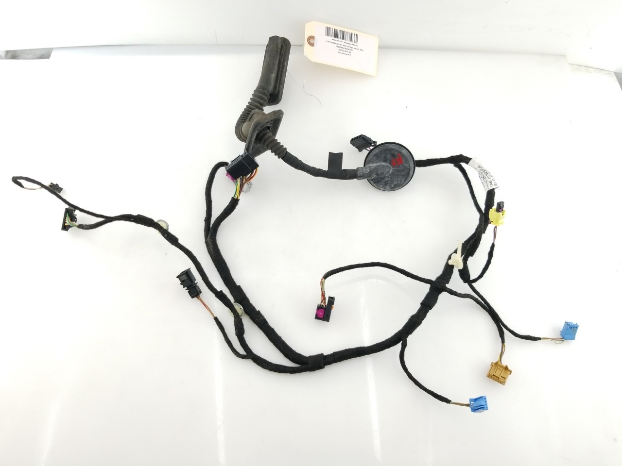 Door Harness RF 1