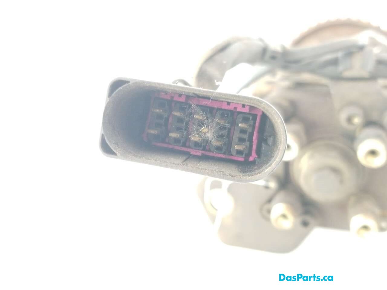 TDI Injection Pump