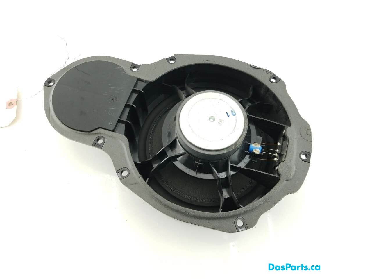 Speaker RF