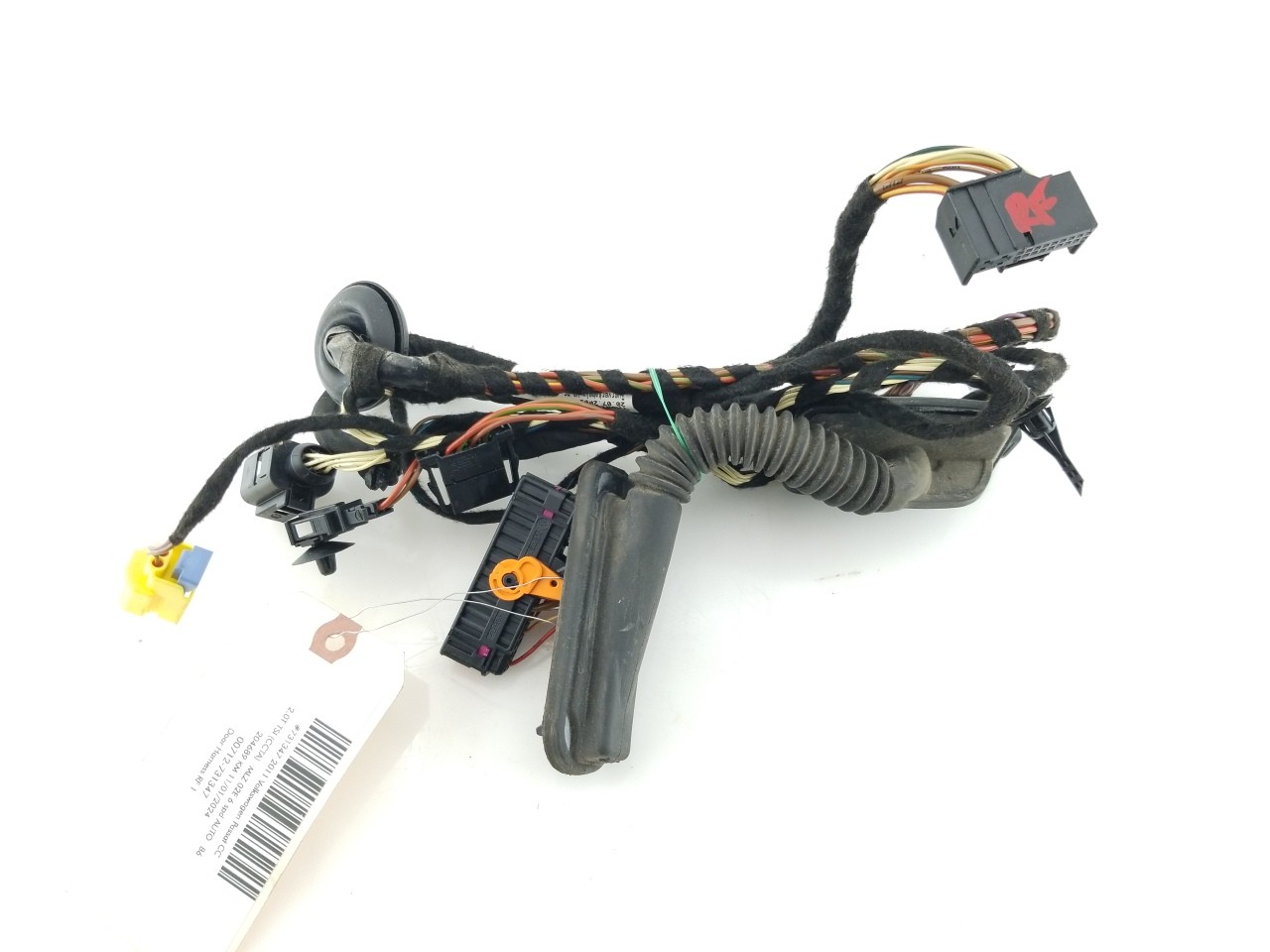 Door Harness RF 1