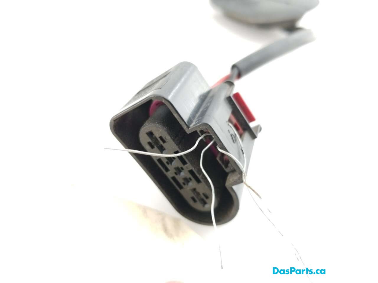 Fuel Pump Module