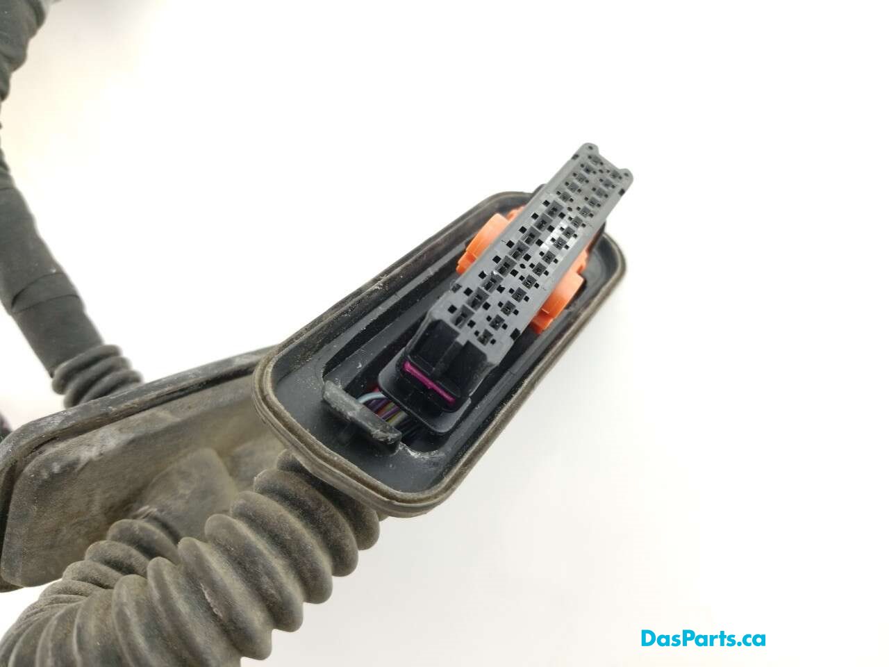 Door Harness LF 1