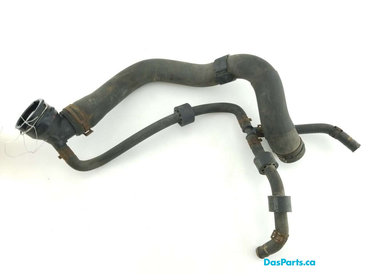 Upper Rad Hose