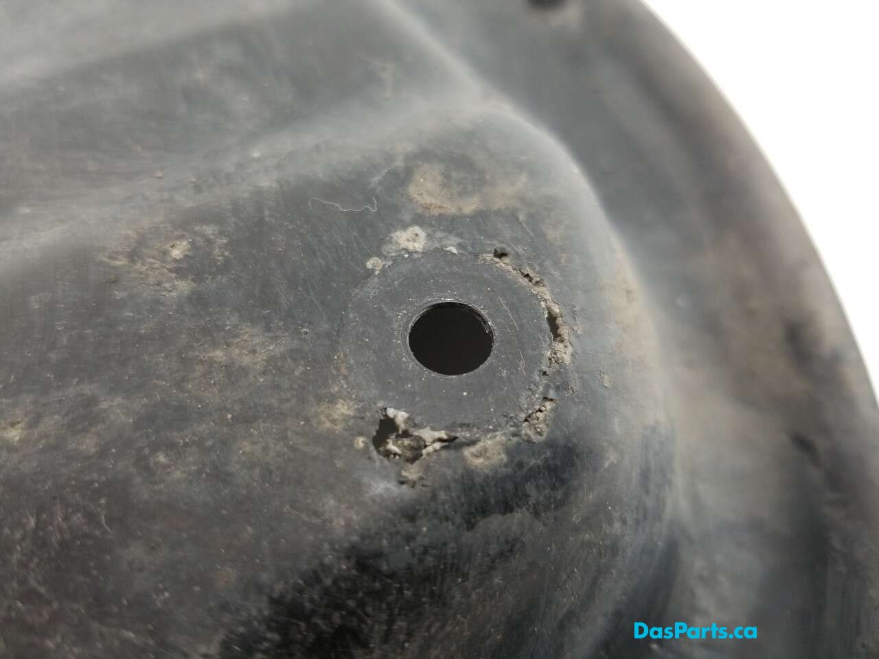 Dust Shield RR