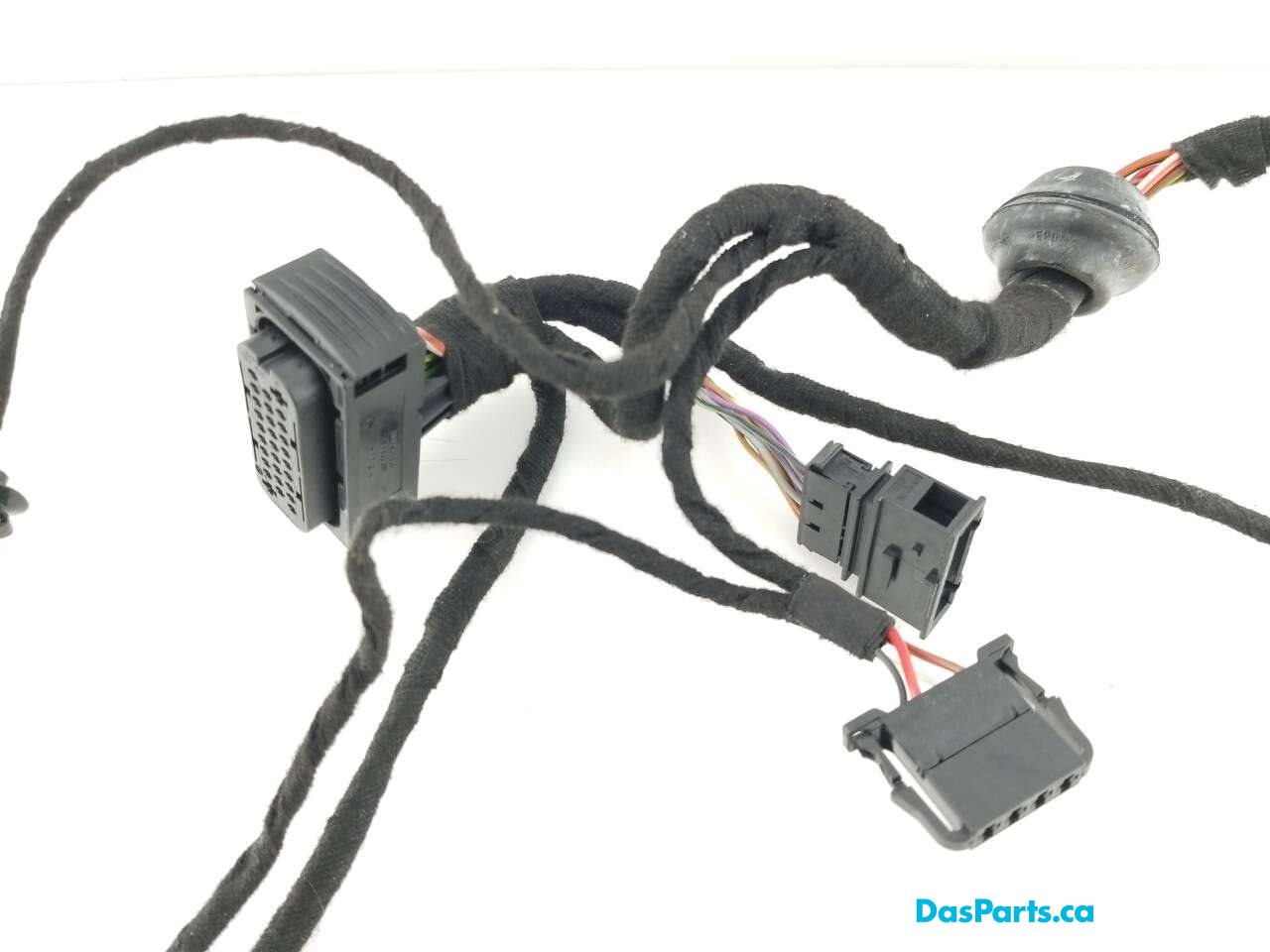 Door Harness LF 1