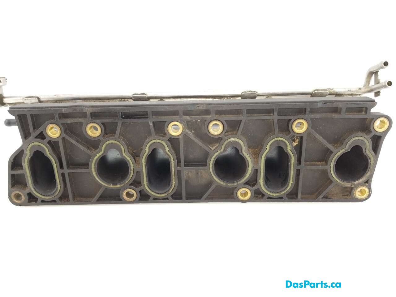 Intake Manifold Lower