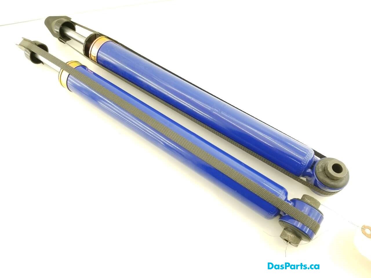 Rear Strut Pair