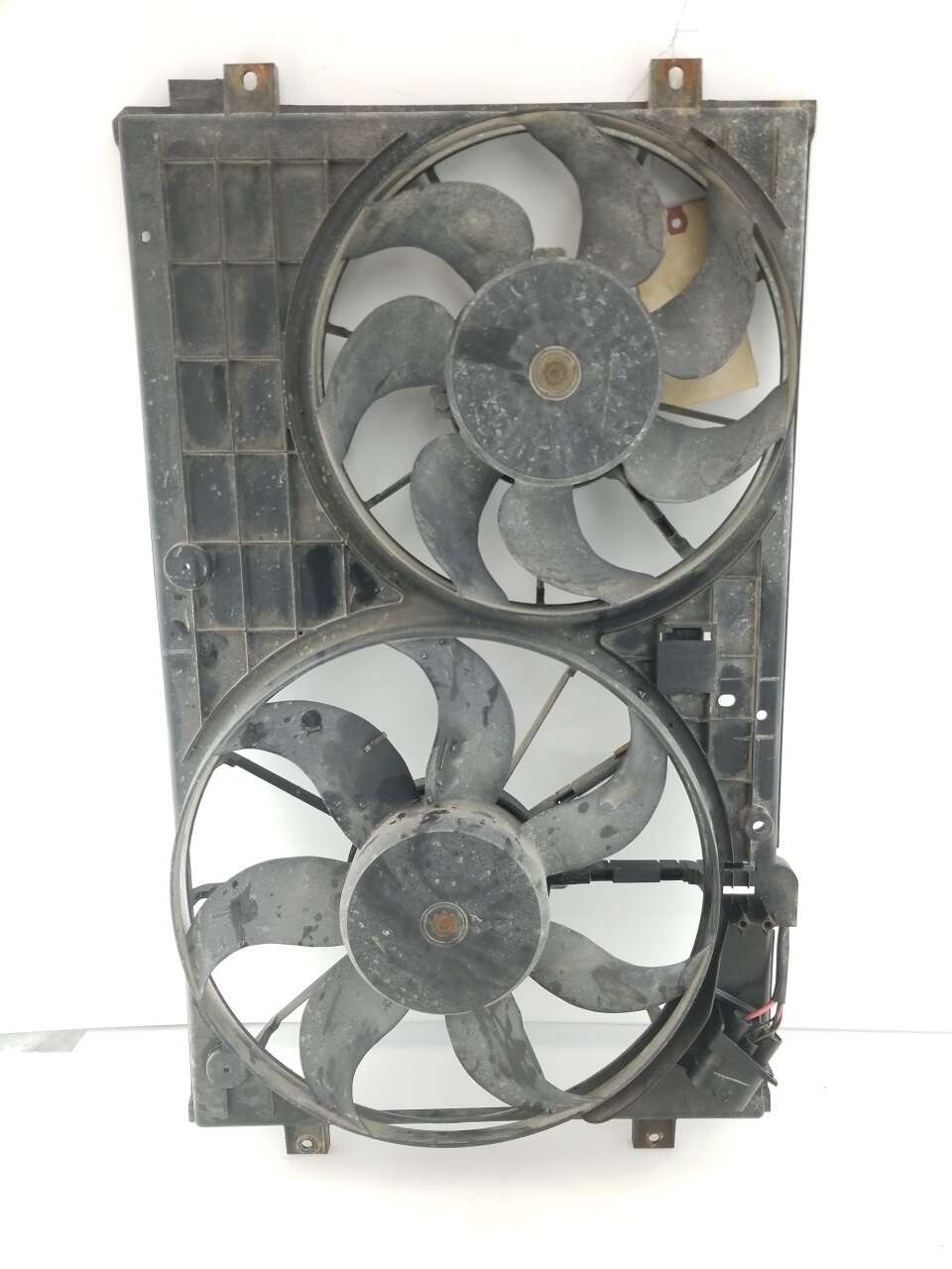 Rad Fan Assembly
