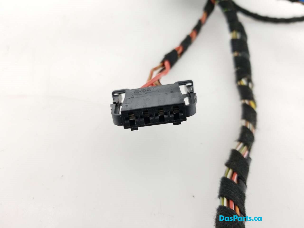 Door Harness LF 1