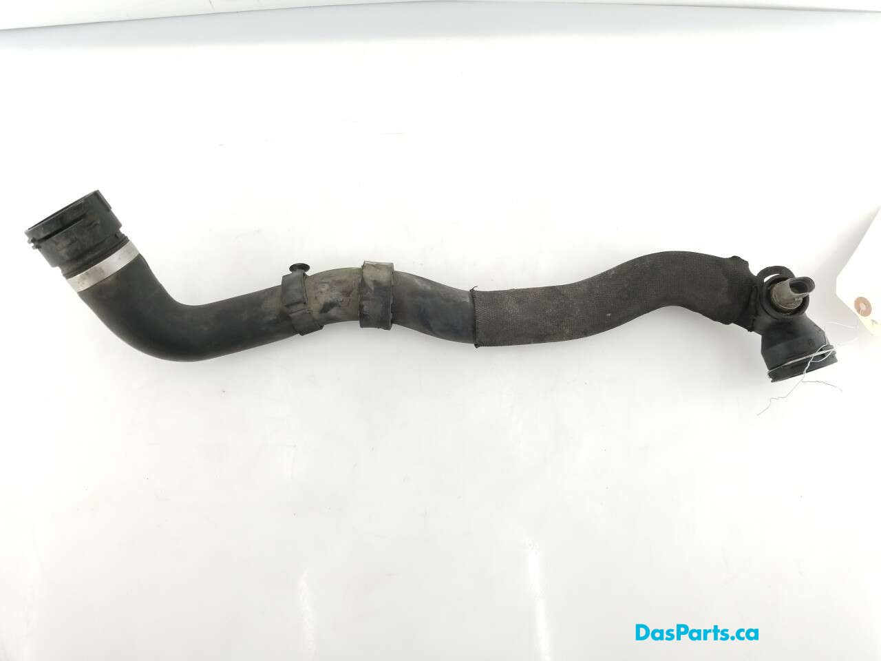 Lower Rad Hose