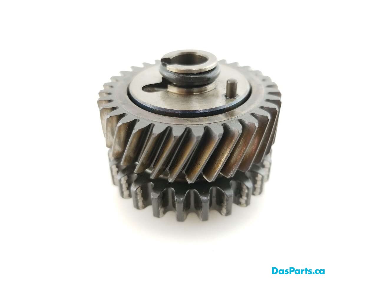 Timing Gear