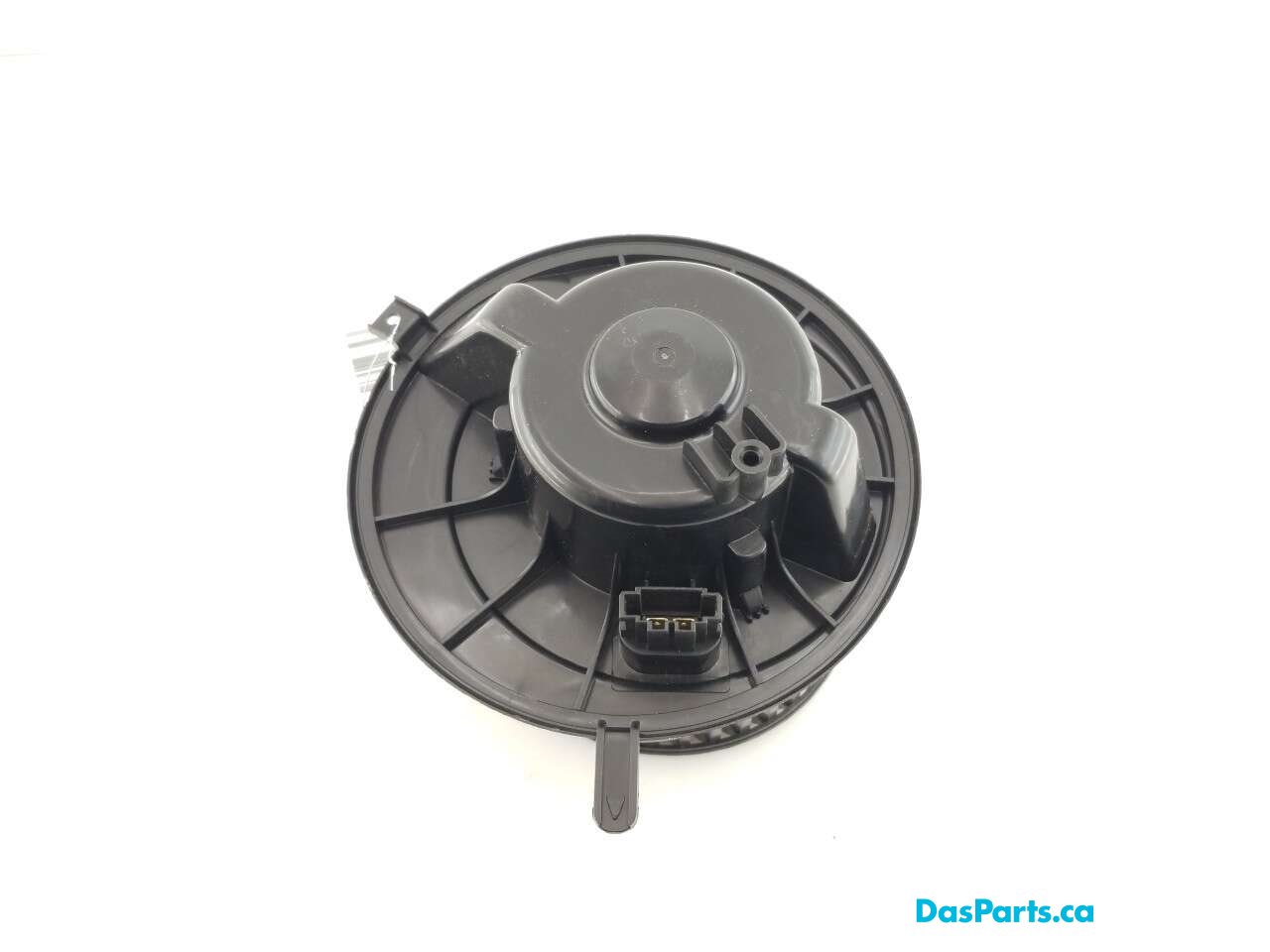 Blower Motor