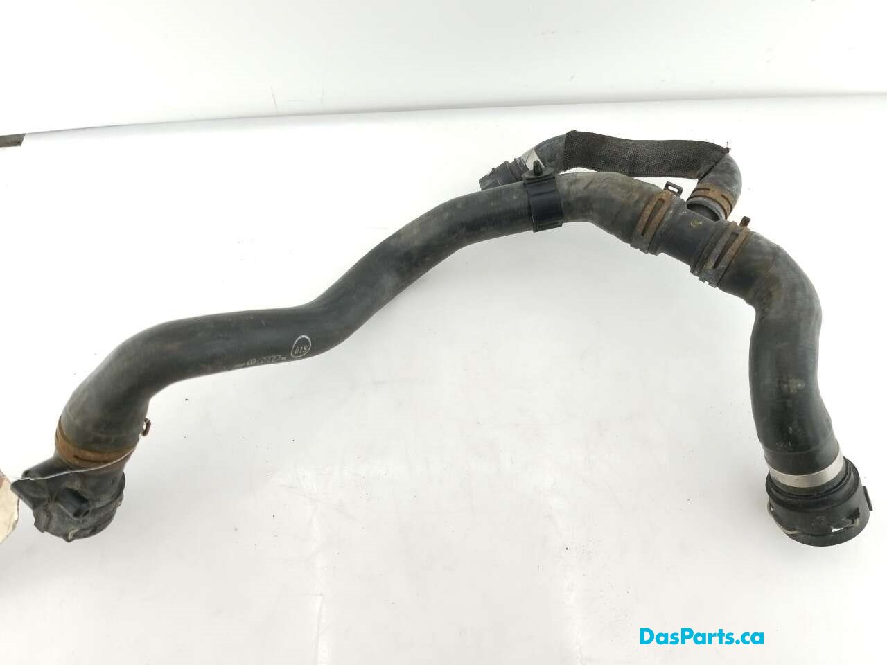 Lower Rad Hose