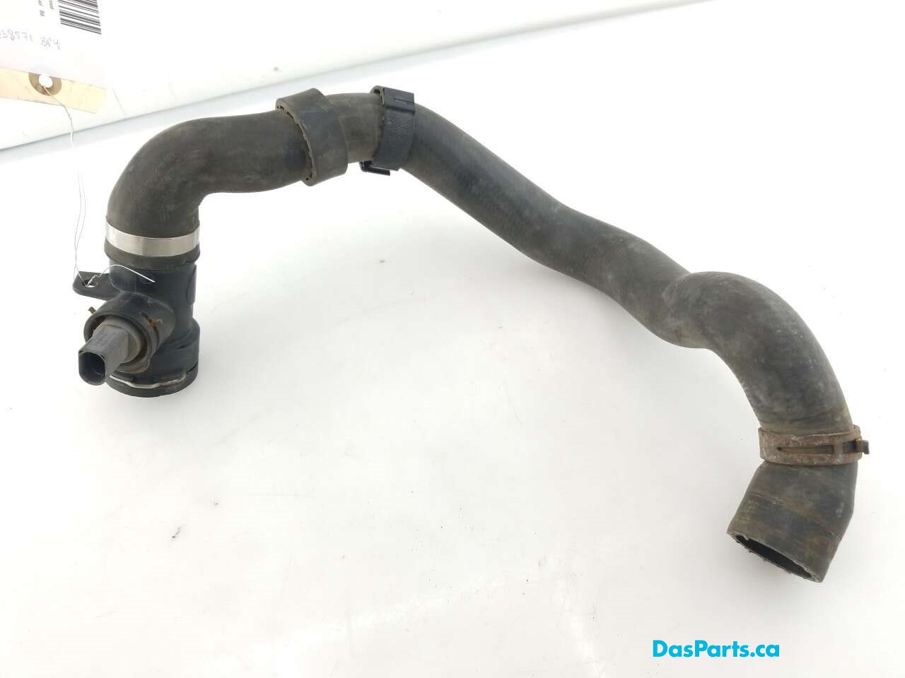Lower Rad Hose