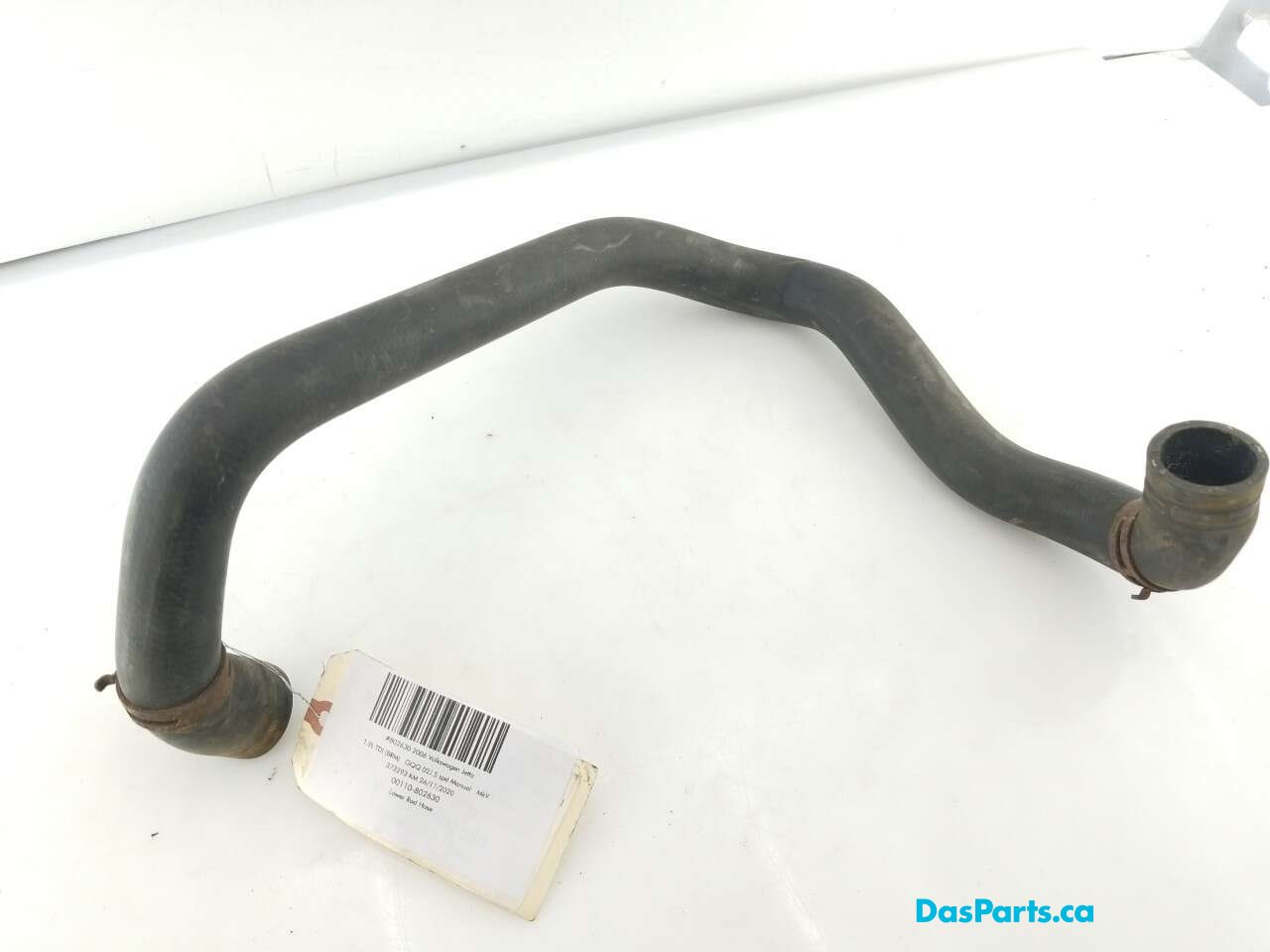 Lower Rad Hose