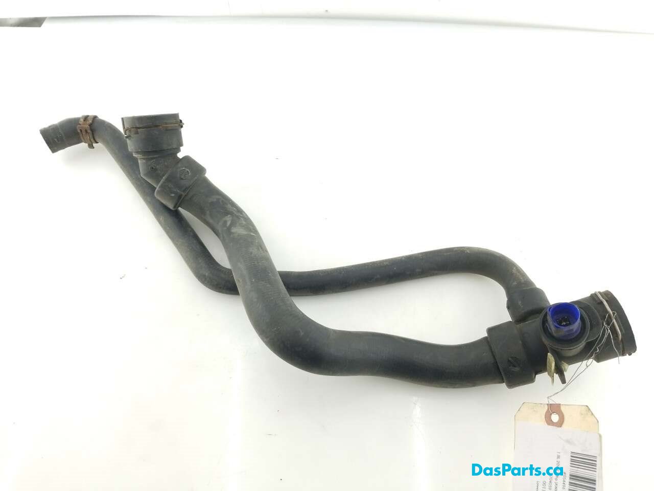 Lower Rad Hose
