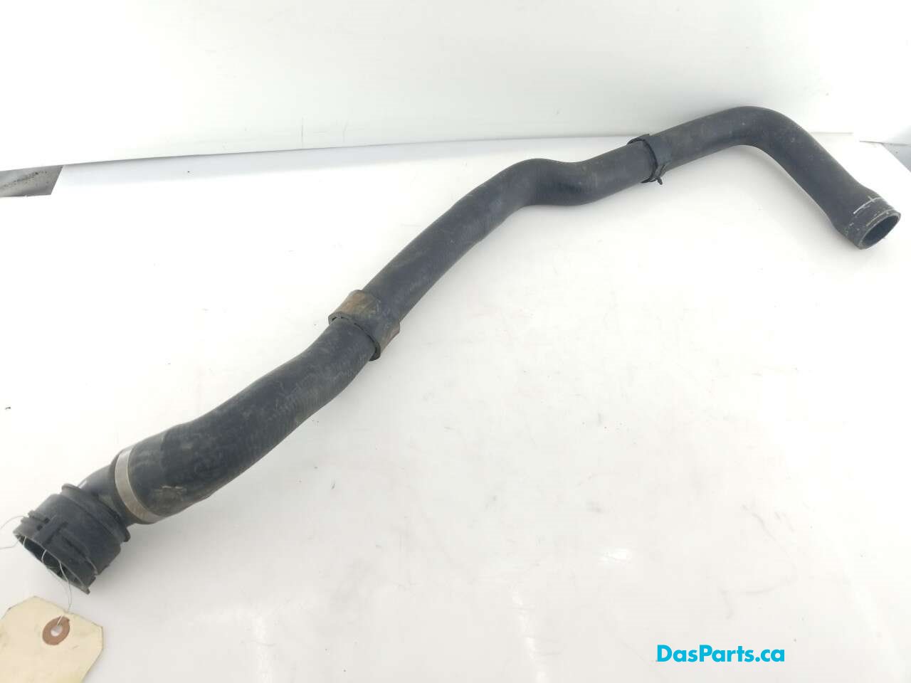 Lower Rad Hose